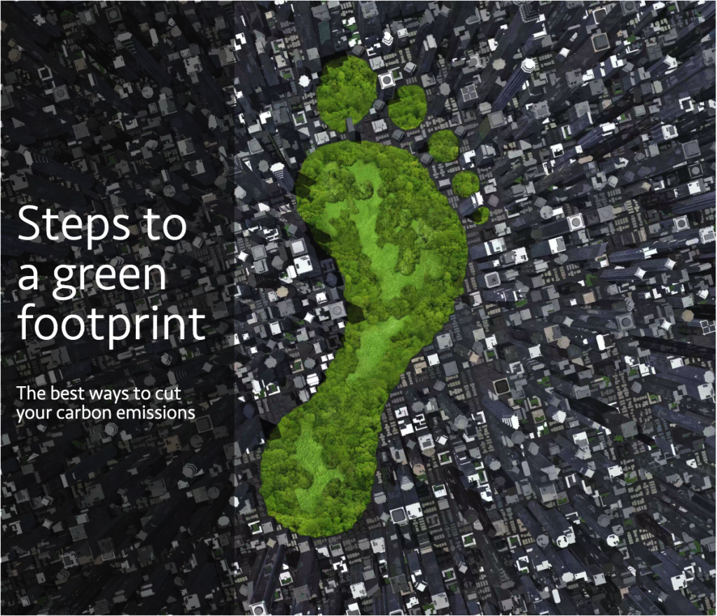 steps to green footprint