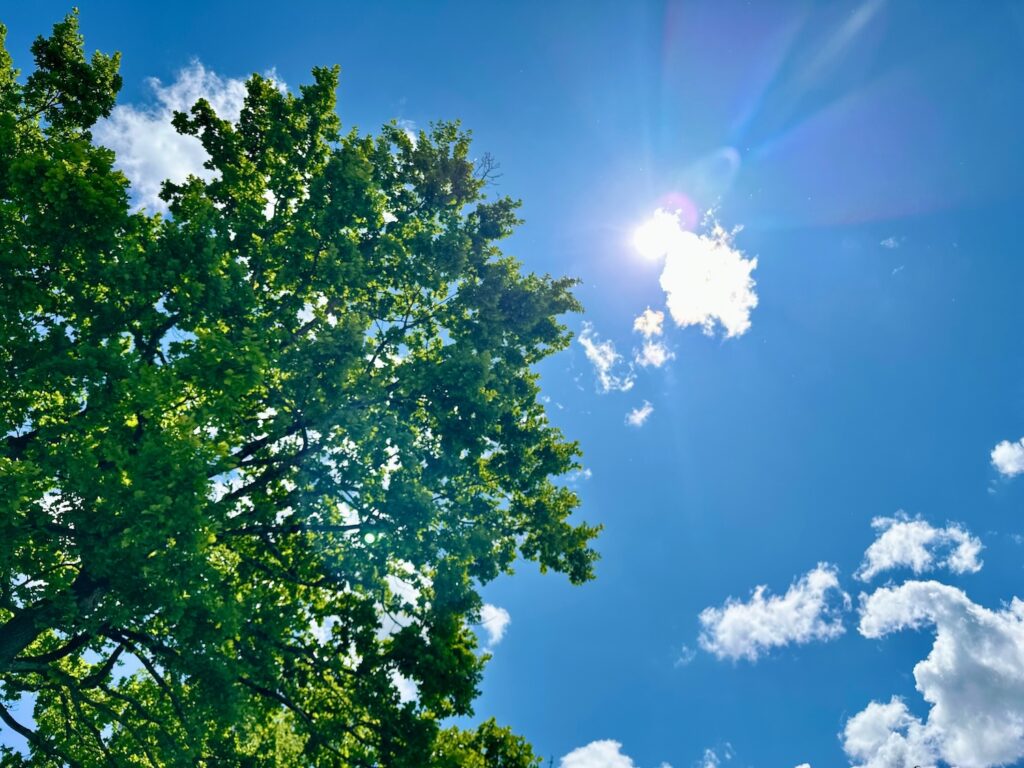 Natural sun flare with blue clouds sky and green leaves